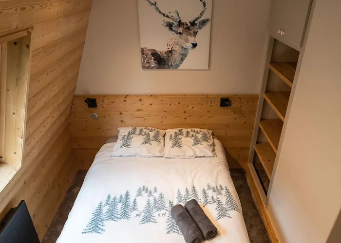 Immodreams - L'ours Polaire * מורזין